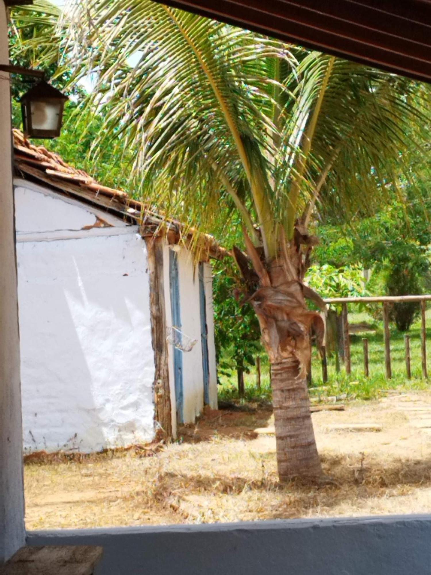 Fazenda Com Piscina E Churrasqueira Br-135 Proximo Curvelo Corinto E Morro Da Garca المظهر الخارجي الصورة