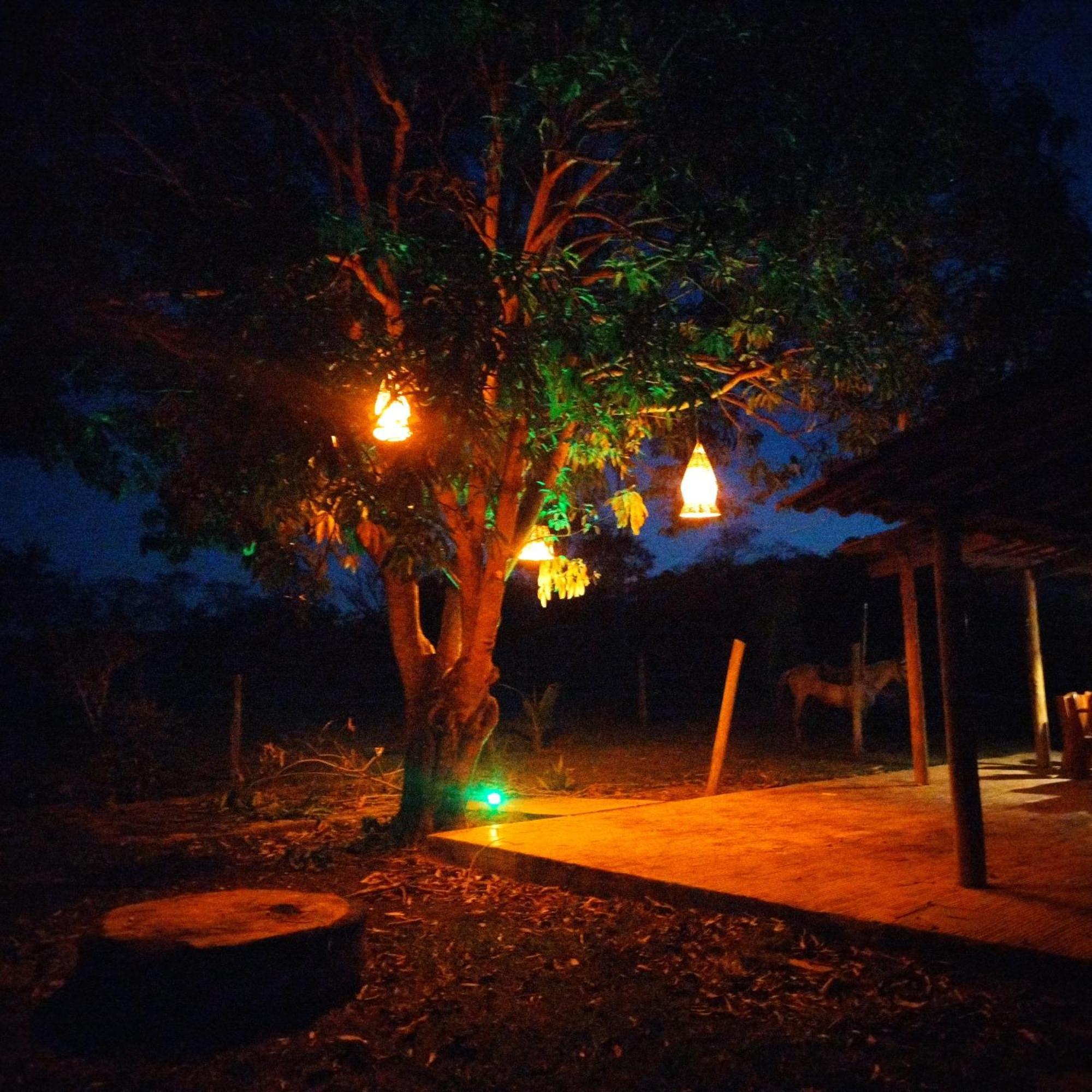 Fazenda Com Piscina E Churrasqueira Br-135 Proximo Curvelo Corinto E Morro Da Garca المظهر الخارجي الصورة